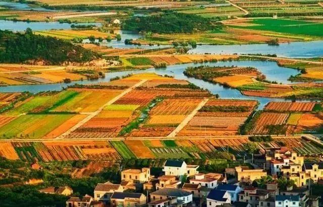 透视日本“一村一品”农业发展模式，中国差距令人汗颜