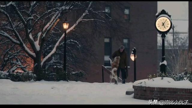 刚看了《一条狗的使命2》，温情催泪。还有哪些关于狗狗的电影值得看？