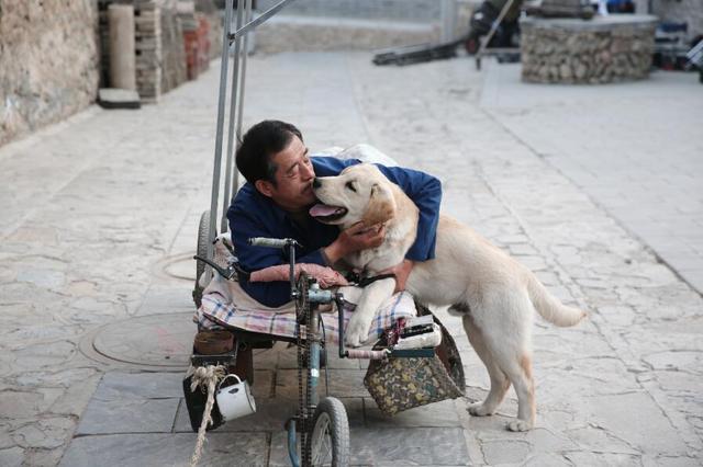 中国有没有很好的关于狗的电影？