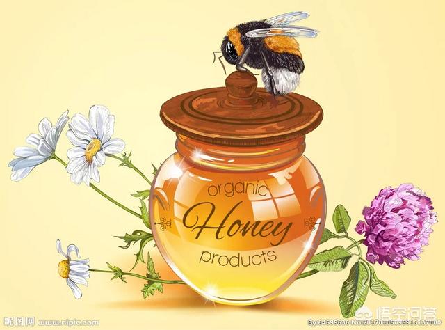 蜂蜜的功效和作用是什么？使用量如何把握？