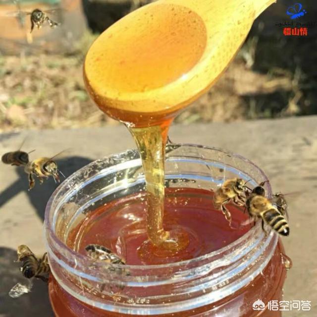 蜂蜜的用处有哪些？