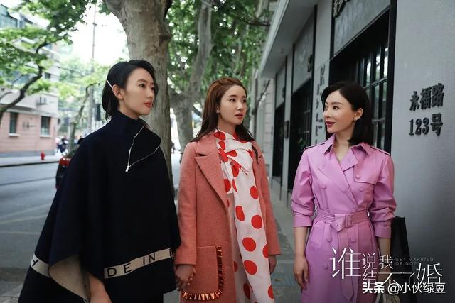 如何评价由潘粤明、童瑶、陈数主演的电视剧《谁说我结不了婚》？