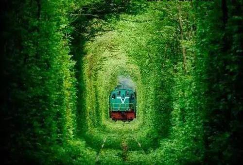 被称为“爱情隧道”的铁路，完全不输乌克兰！最好夏天再去