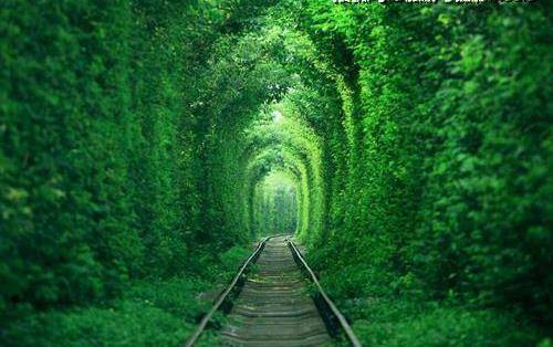 被称为“爱情隧道”的铁路，完全不输乌克兰！最好夏天再去
