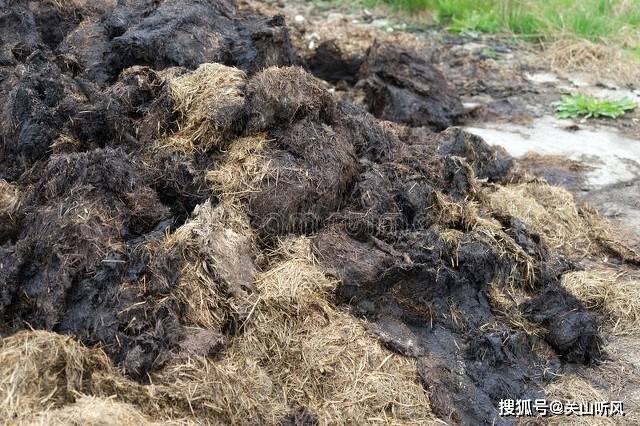 湖南有一种农具叫“淤筛”，你知道是什么东西吗？